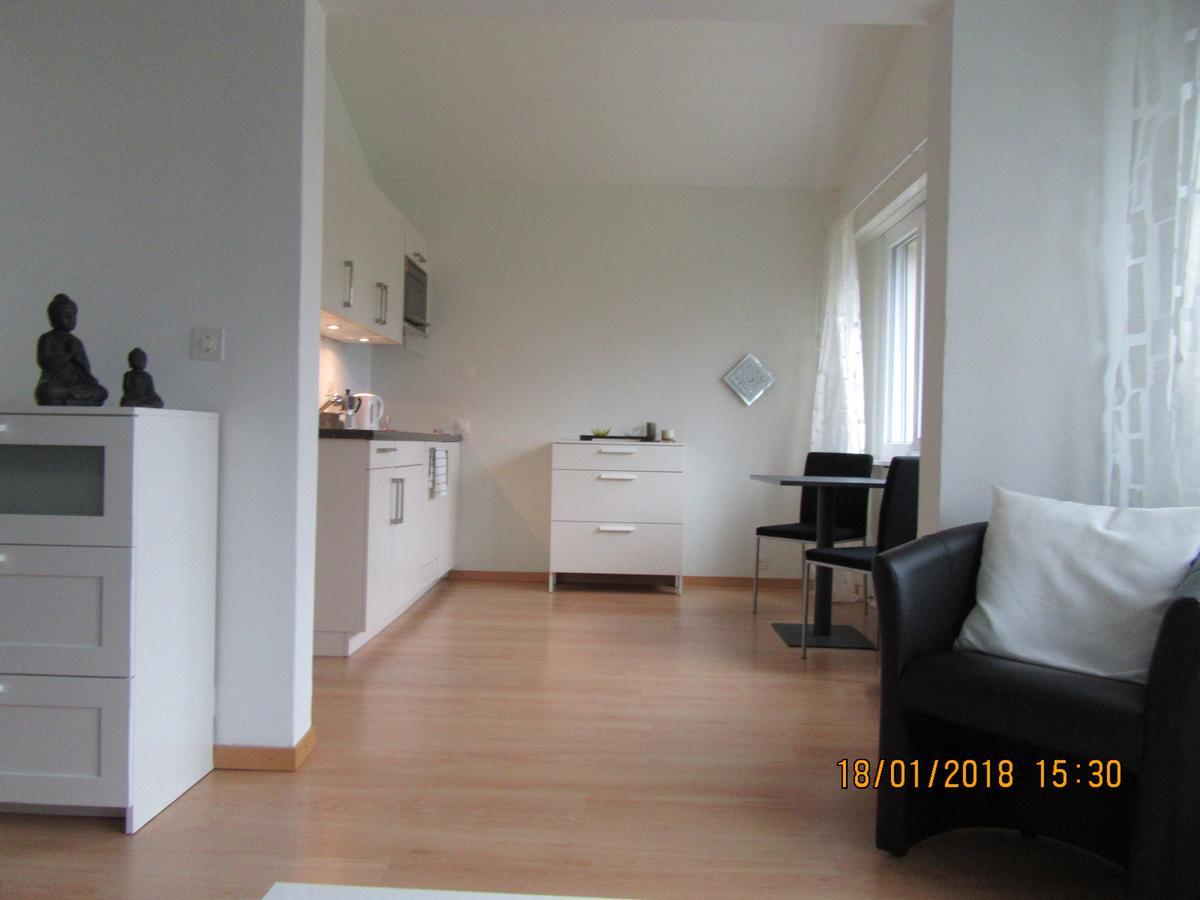 Apartment Le Debarcadere Saint Sulpice (Vaud)
